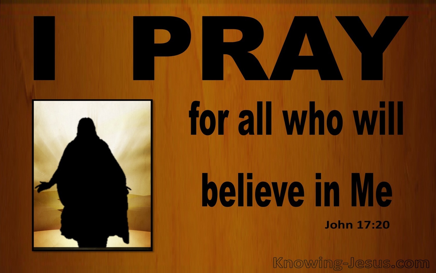 John 17:20 Jesus Prays For All Who Will Believe In Him (black)